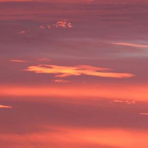 寻思难值有情人