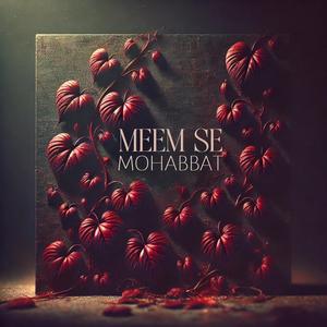 Meem Se Mohabbat (Instrumental)