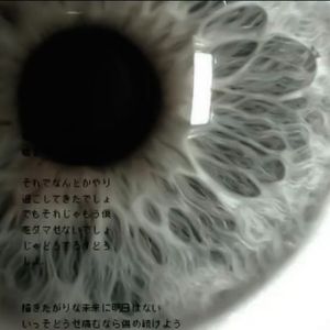 ii