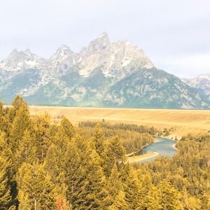 American Trees (feat. Raymond)