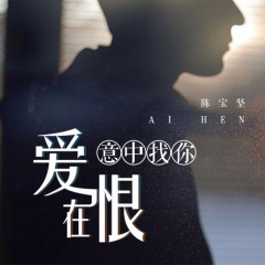 爱在恨意中找你