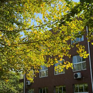 睡不着的夜晚(完整版)