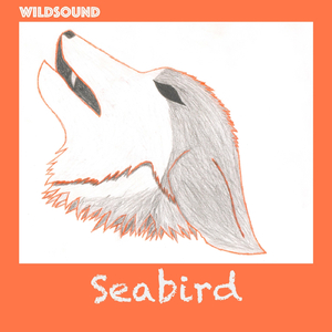 Seabird