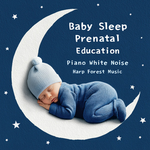 柴科夫斯基: 胡桃钳组曲 - 花之圆舞曲 (浪潮)