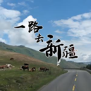 一路去新疆