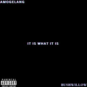 It Is What It Is