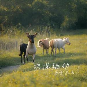 欢悦跳动之舞DJ (6)