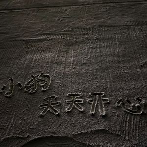 如果再想起我
