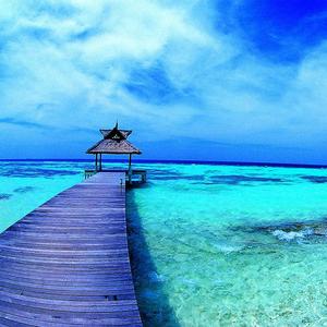 告诉桃花人来了