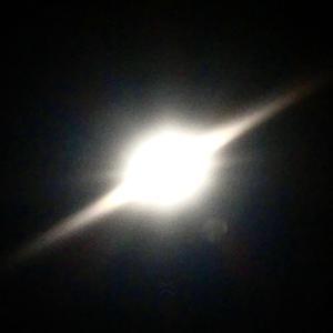 Novabody (Illuminated…)