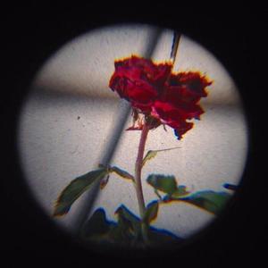 脆弱星球
