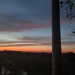 那吾克热-NW-飘向远方（说唱片段）（lhn的故事 remix）