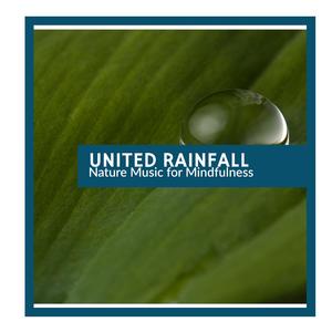 Aquatic Insects & Birds