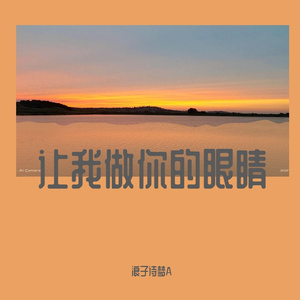 让我做你的眼睛