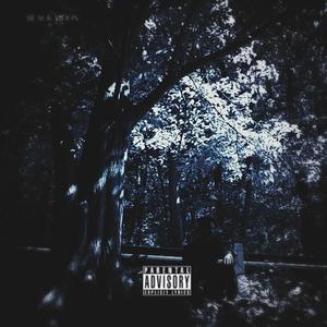 Looking Back (feat. Gone Wallace)