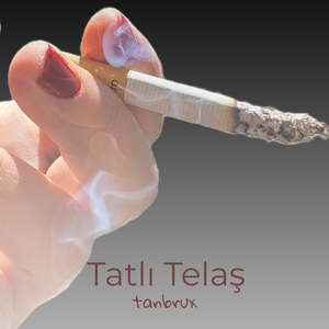 Tatlı Telaş