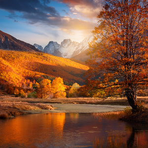 The Stillness Before the Dawn