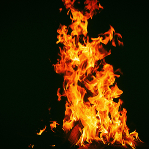 ¿Qué sentido tienen todas las cosas?