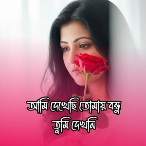 আমি দেখেছি তোমায় বন্ধু তুমি দেখনি