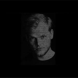 Avicii - We Burn (Hayro Remake)