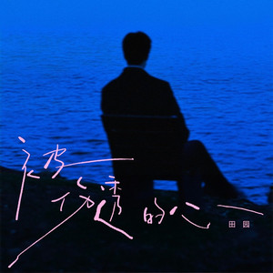 被伤透的心 (DJ豪大大版)