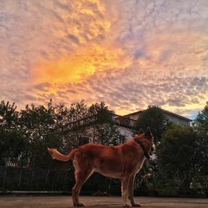 吴哥窟（男声版）