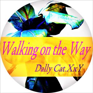 Walking on the Way