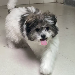 再次遇到幸福我却想逃避