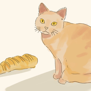 うちの猫は世界一かわいい！