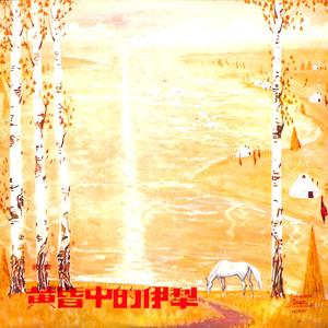 在银子样的山上