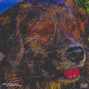 Kalma (feat. Jesse Willows)