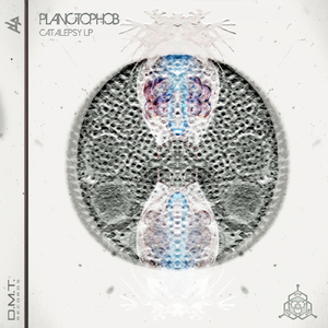 Section 5 (Original Mix)