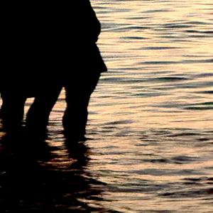 Christmas by the sea 2.025 (Version 2.025)