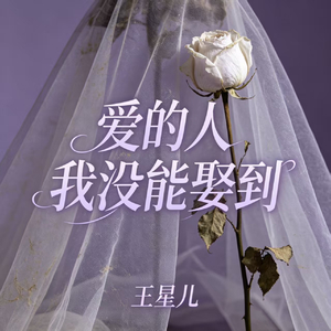 爱的人我没能娶到