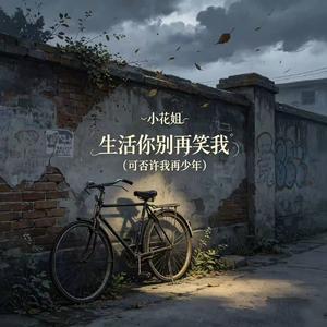生活你别再笑我（可否许我再少年）