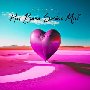 Hiç Bana Sordun Mu