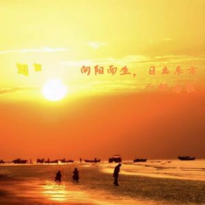 向阳而生（Sunrise）