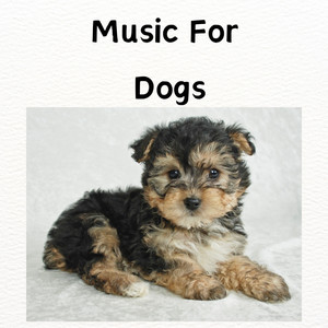 Classical Music for Pets
