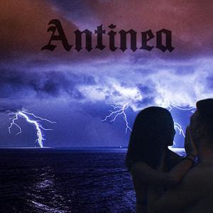 antinea