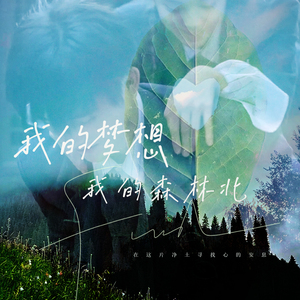 我的梦想 我的森林北