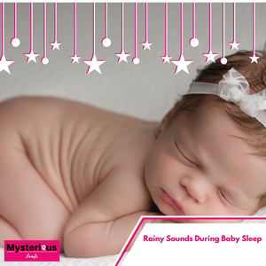 Spheroidal Boiling Bubbles