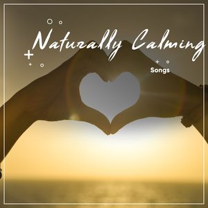 Enchanting Sea Waves