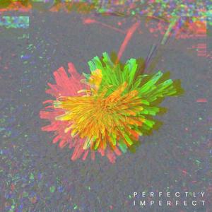 Perfectly Imperfect