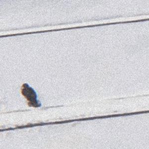 他们在结束前离开