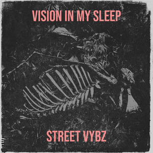 Vision in My Sleep