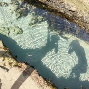 小半（钢琴版）