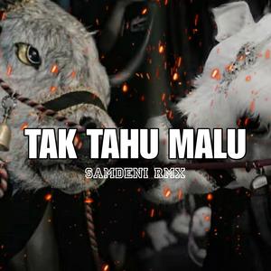 TAK TAHU MALU