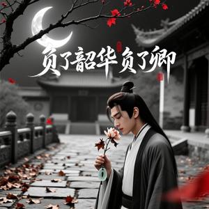 负了韶华负了卿.wav