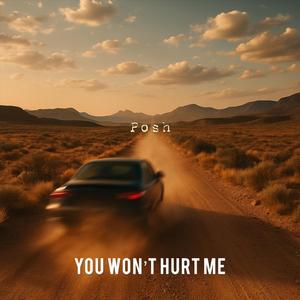 You Won't Hurt Me