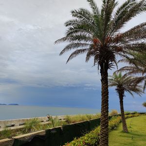 穿过微风抚摸你的手